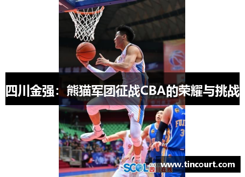 四川金强：熊猫军团征战CBA的荣耀与挑战